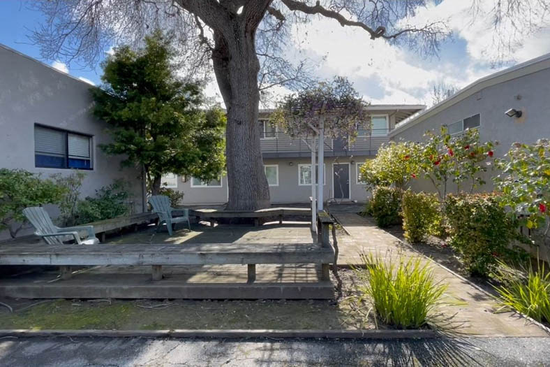 a backyard with a deck and a tree and a house